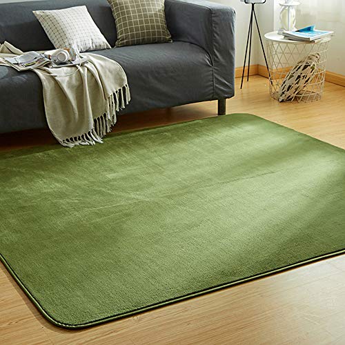 VK Living カーペット ラグ ラグマット 絨毯 200×300cm(約4.5畳) 洗える 滑り止め付 防ダニ 抗菌 防臭 1年中使えるタイプ 床暖房 ホット